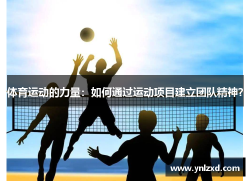体育运动的力量：如何通过运动项目建立团队精神？