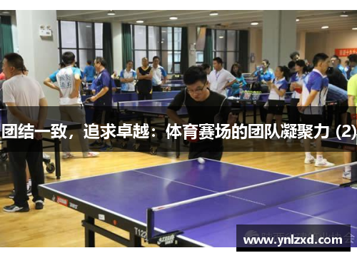 团结一致，追求卓越：体育赛场的团队凝聚力 (2)