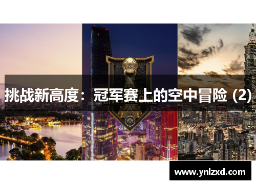 挑战新高度：冠军赛上的空中冒险 (2)