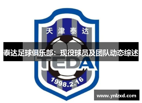 泰达足球俱乐部：现役球员及团队动态综述