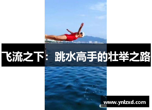 飞流之下：跳水高手的壮举之路